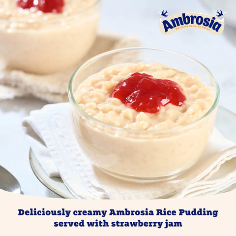 Ambrosia Rice Pudding 400g Can